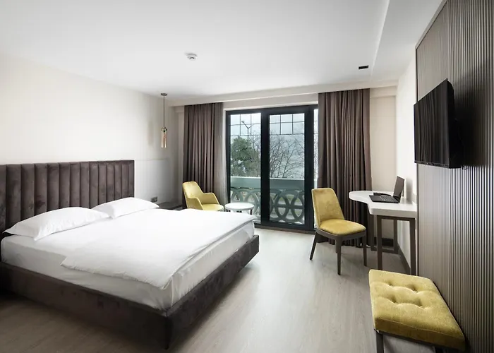 Sinema Hotel Ordu